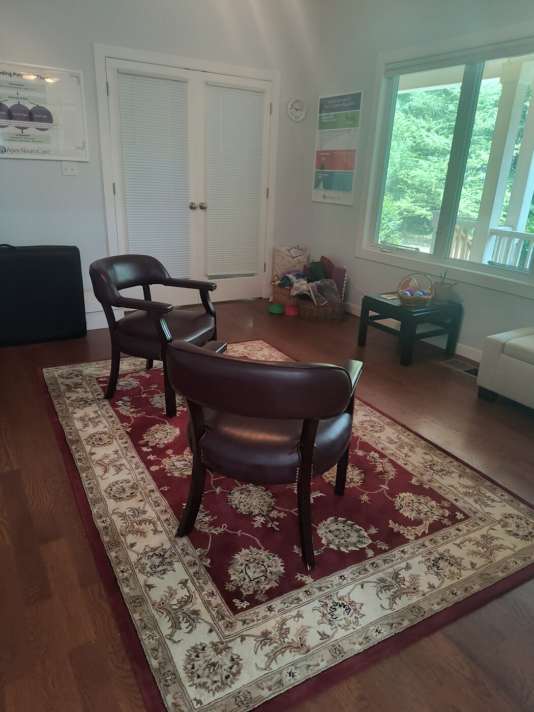 IASIS Microcurrent Neurofeedback session setup at Apex NeuroCare in Apex, NC